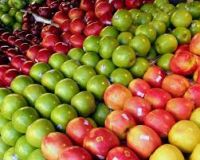 2017 new fresh fruits red Fuji apples