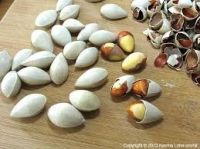 Clean Gingko Nut for sale