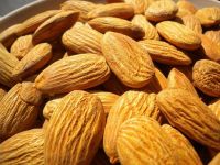 Almond Nuts, Almond Kernel, Sweet Almond