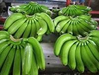 Fresh Cavendish Banana