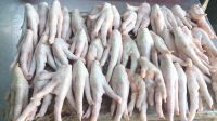 Halal Grade A Chicken Feet / Frozen Chicken Paws Thailand/CHicken Wings