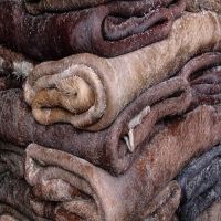 Dry and Wet Salted Donkey / Horse Hides / Wet Cow Hides, Salted Donkey Hides and Cow Hides for Sale with Low Price, Dry Salted Donkey Hides