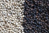 White/Black pepper Exporters, Organic White  And Black Pepper Suppliers