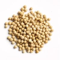 Black Pepper Seeds, White Pepper Seeds, Brazil Organic White  And Black Pepper Suppliers, White/Black pepper Exporters