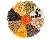 Exporters of lentils, Wholesale suppliers of lentils, Organic lentils from Canada