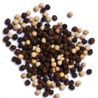 Wholesale Suppliers Of Organic White  And Black Pepper Suppliers, White/Black pepper Exporters