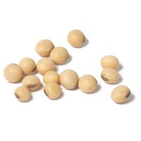 JSX organic Soybeans Seeds Size 6.0Mm Non-Gmo Yellow Soybean