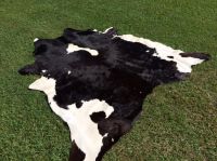 Wet Salted Cow Hides Exporters, Raw cow and donkey hides, raw animal skin/hides