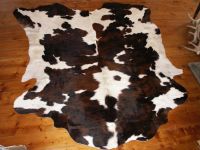 cow hide, Wet Blue cow hides, Wet salted cow skin, cow heads and animal skins,wet blue cow hides