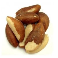 Almond Nuts | Apricot | Betel Nuts | Brazil Nuts | Cashew Nuts