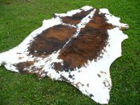 Raw Hides, Skins,cow hides, donkey skins, buffalo hides, cow head skins, cow trimmings, goat skins