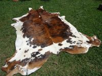 Dry and Wet Salted Donkey/Horse hide /Wet Cow Hides factory price