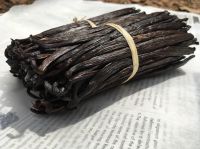 Premium Vanilla Beans - Vanila Beans