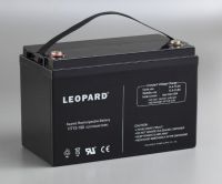 LONG-LIFE BATTERY with designed life up to 10~15 years in float service