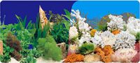 aquarium background