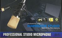 RECORDING MICROPHONE