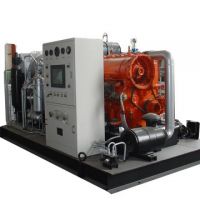 CNG compressor