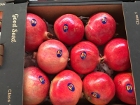 Fresh pomegranate fruit