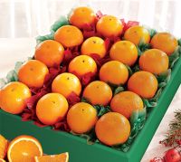 Navel Oranges