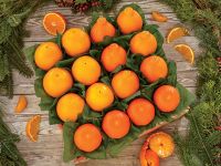 Navel Oranges