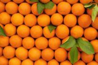 Valencia oranges