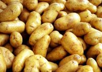 Potatoes (spunta)