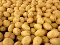 Potatoes (spunta)