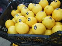 Fresh Lemons