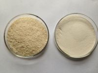 Psyllium Husk Powder(Isabgol)