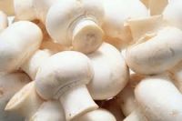 Golden Supplier Of All Types Frozen Porcini Mushrooms,frozen Oyster Mushroom,frozen Mushroom