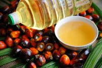Hot Sale 100 % Pure Refinery Plant Crude Palm Oil supplier