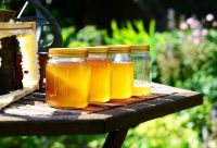 Bulk Honey Raw Honey Pure Honey Natural Honey