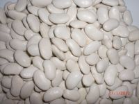 Organic White Kidney Beans Lopatka