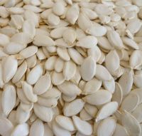 Chinese new harvest sweet melon seeds