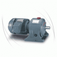 TECO Geared Motor