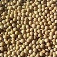 Soybeans 