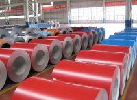 Prepainted Galvanized Steel Coil (PPGI)