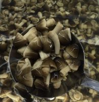 CANNED STRAW MUSHROOM IN BRINE