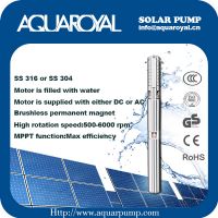 Solar Pumping Systems - Boreholes,Wells,Irrigation DC solar well pumps - 4SP2/5 Separated Type