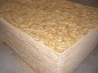 PLYWOOD