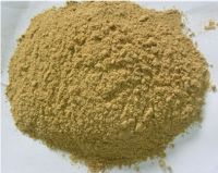 GALANGAL POWDER SUPPLIERS