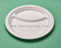 eco-friendly disposable tableware