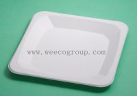 professional bagasse paper plates