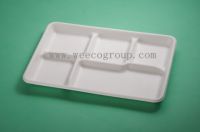 Biodegradable Unbleached Sugarcane Bagasse Pulp Moulded Tray