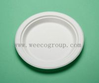 Tableware Disposable Dinner Paper Plate