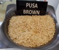 Pusa Brown Basmati Rice