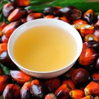 RBD Palm Oil