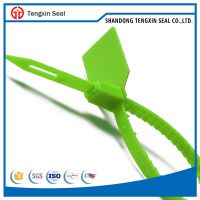 Cable tie plastic seal in seals, security seal, container seal