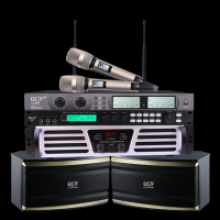 Customized QCN brand karaoke set home theater karaoke professional audio system