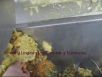 High Quality Pineapple Juice Processing Equipment, Pineapple peeler and juicer machine
